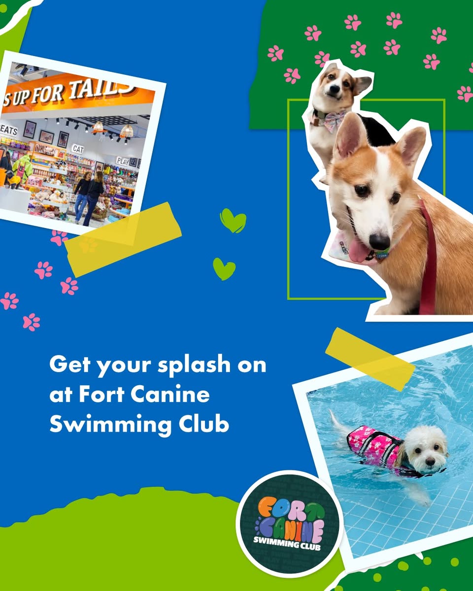 Pets having fun in the new Furry Playzone at Clarke Quay.