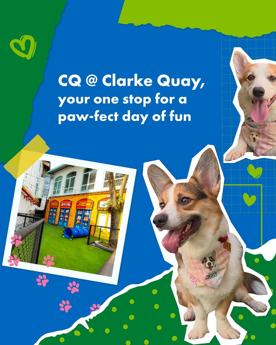 Pets and their owners enjoying a leisurely stroll along the river at Clarke Quay.