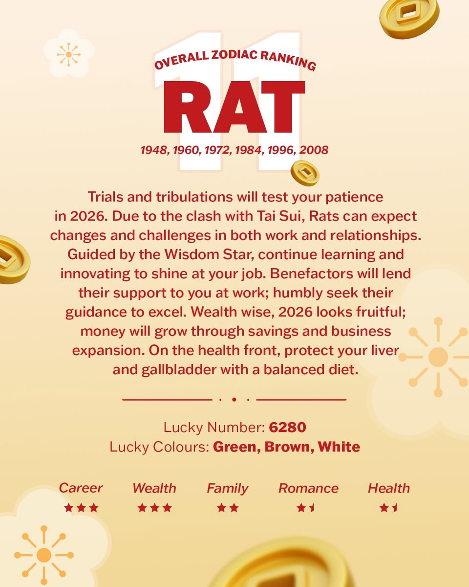 Year of the Horse celebrations and decorations