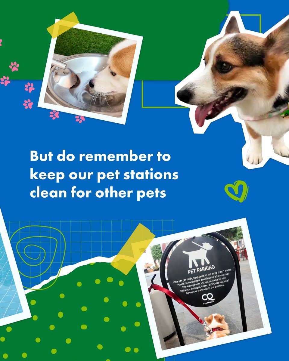 A delicious pet treat, perfect for a day out at Clarke Quay.