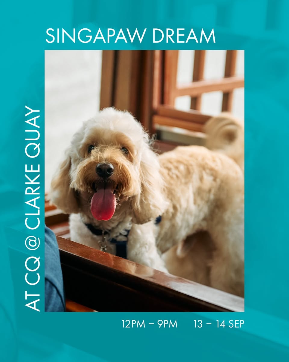 Vibrant scenes from CQ @ Clarke Quay