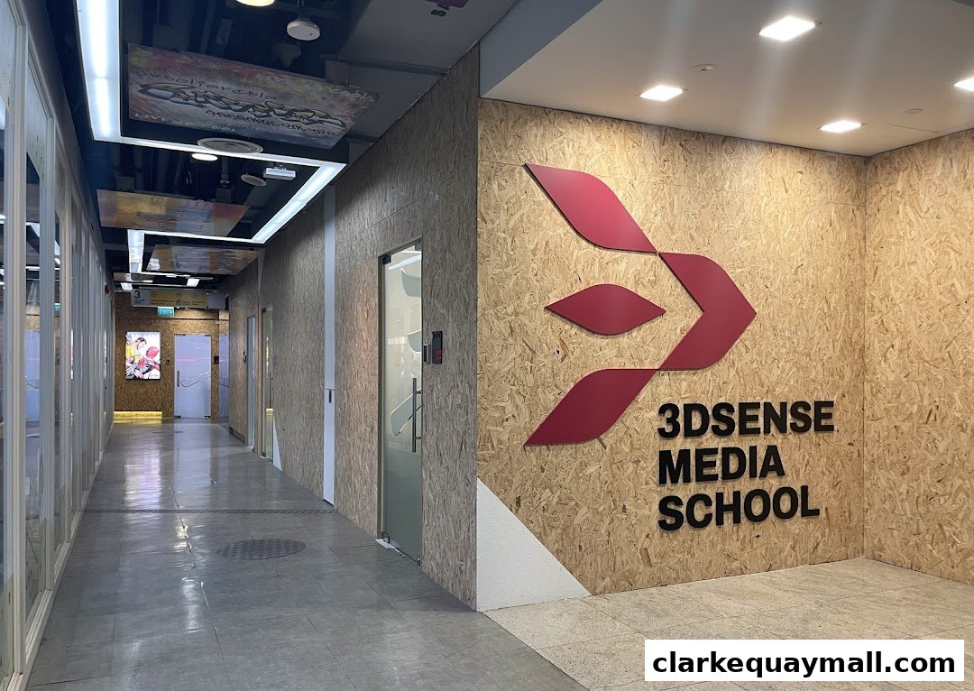3dsense Media School