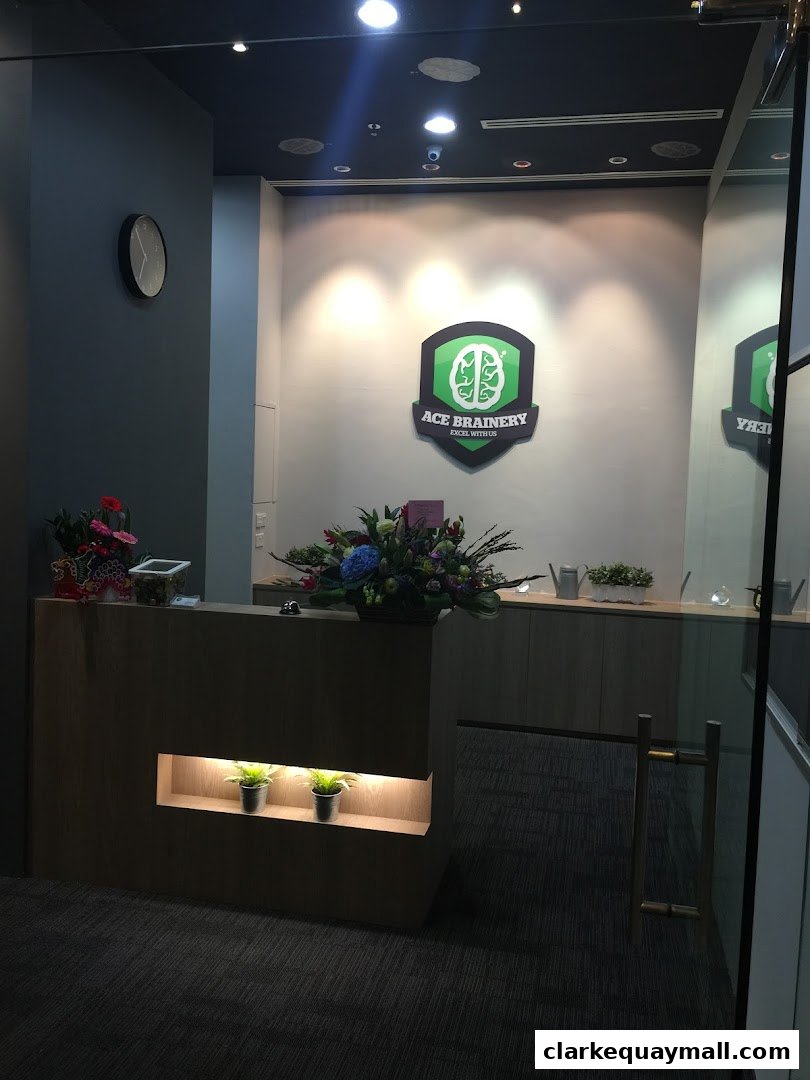 Ace Brainery Pte Ltd