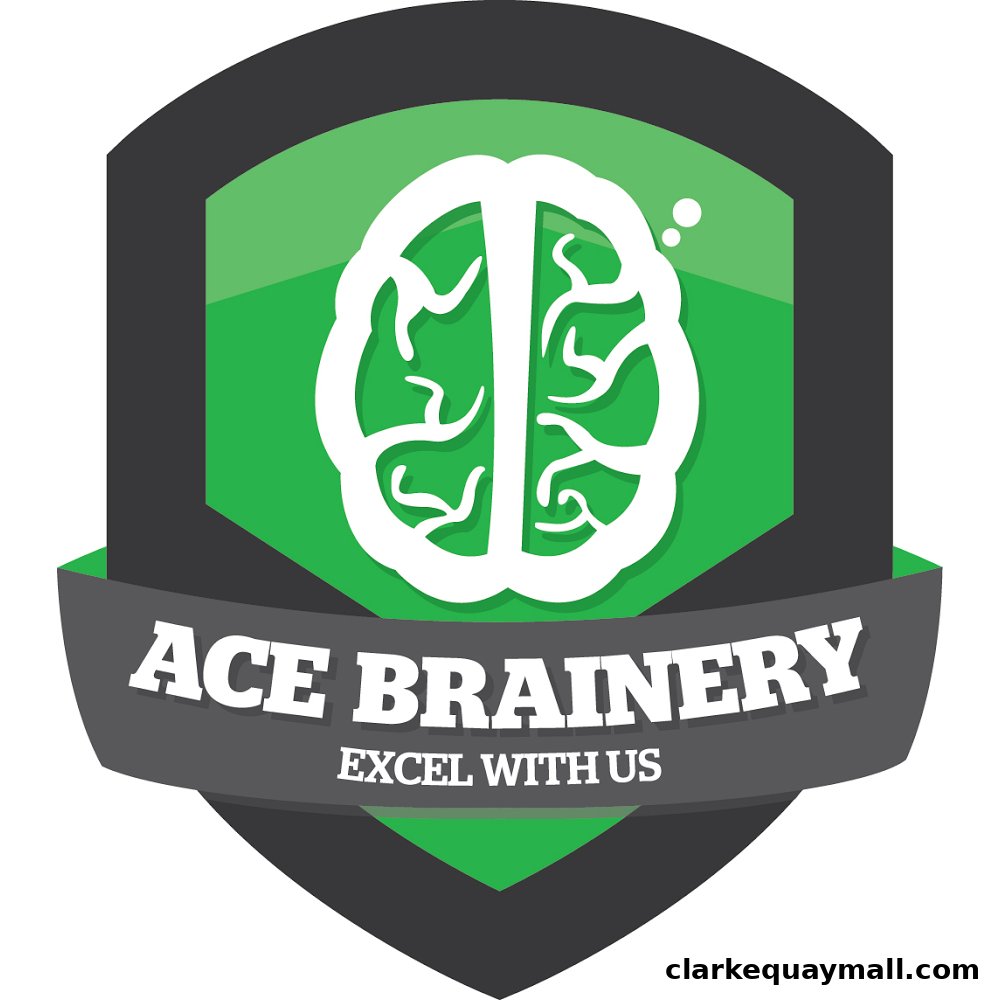 Logo for Ace Brainery featuring a stylized brain and the tagline 'Excel With Us'.