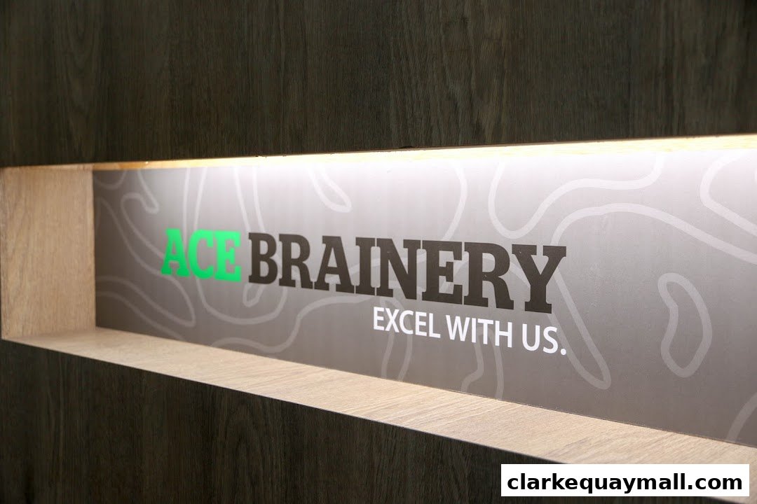 A close-up view of the Ace Brainery Pte Ltd logo with the tagline 'Excel With Us.'