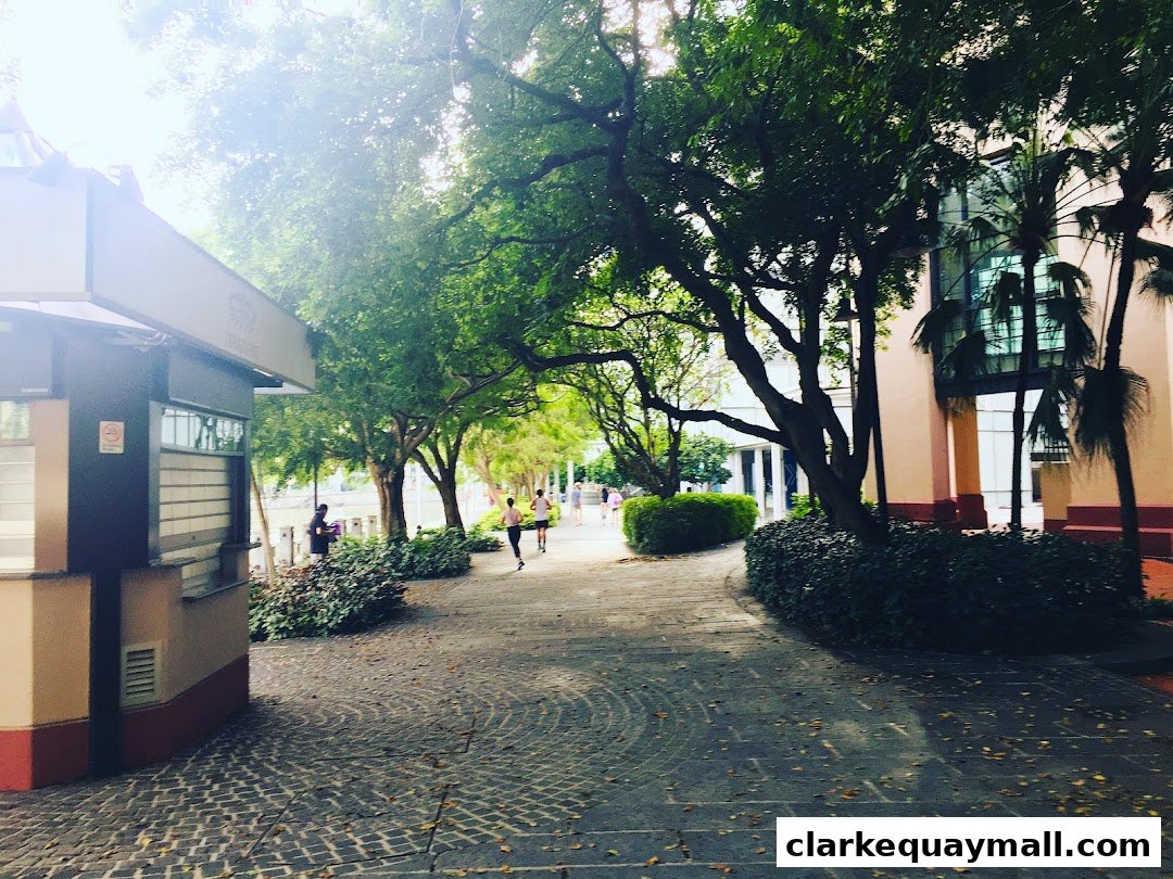 A paved walkway lined with trees and bushes leads towards a building.