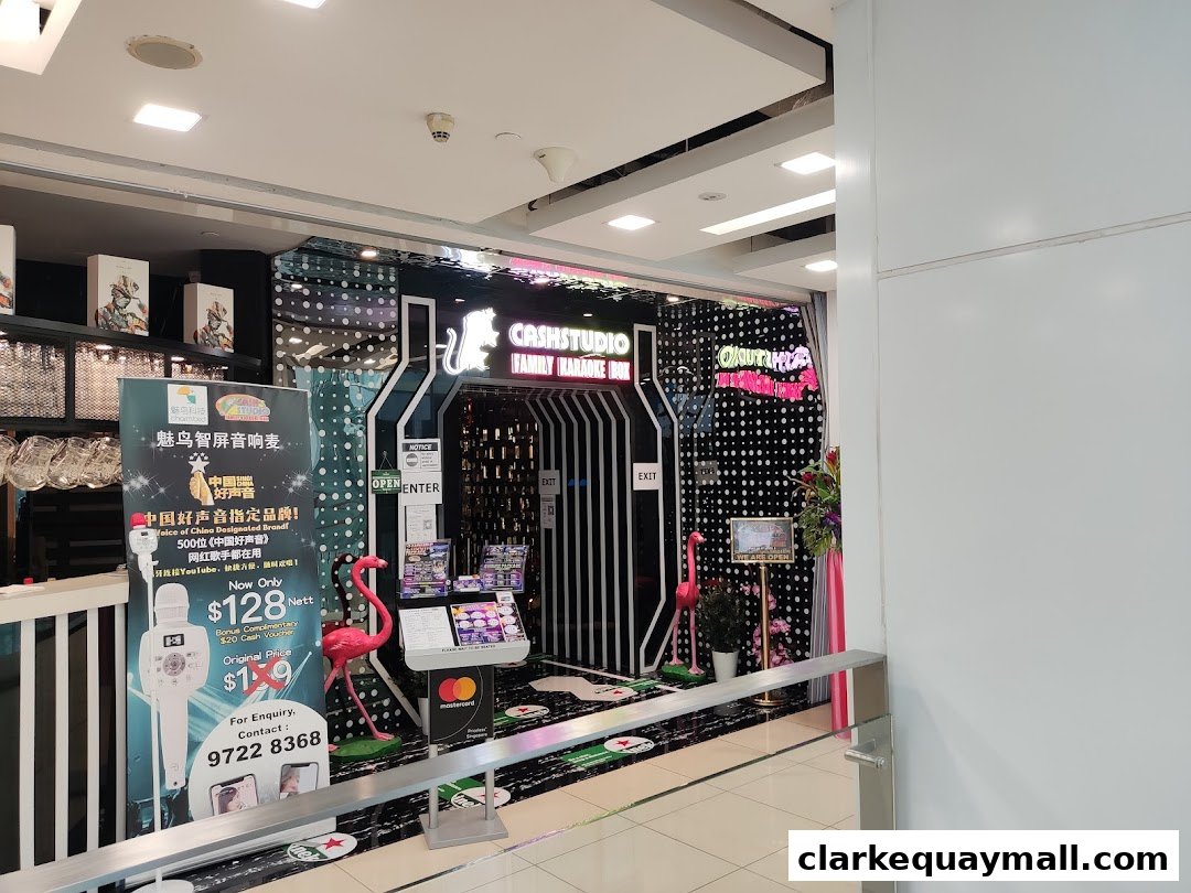The entrance of Cash Studio Family Karaoke with a promotional banner and decorative flamingos.
