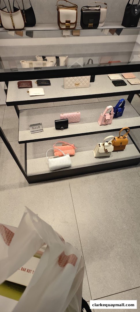 A display of various Charles & Keith handbags and wallets on shelves, with a shopping bag in the foreground.