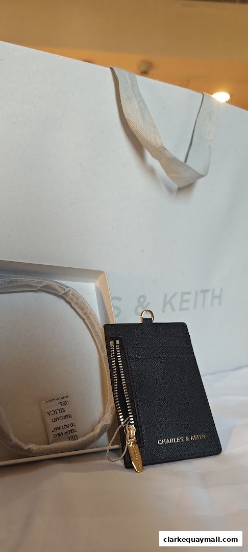 A black Charles & Keith cardholder with a zipper and card slots, next to a shopping bag.