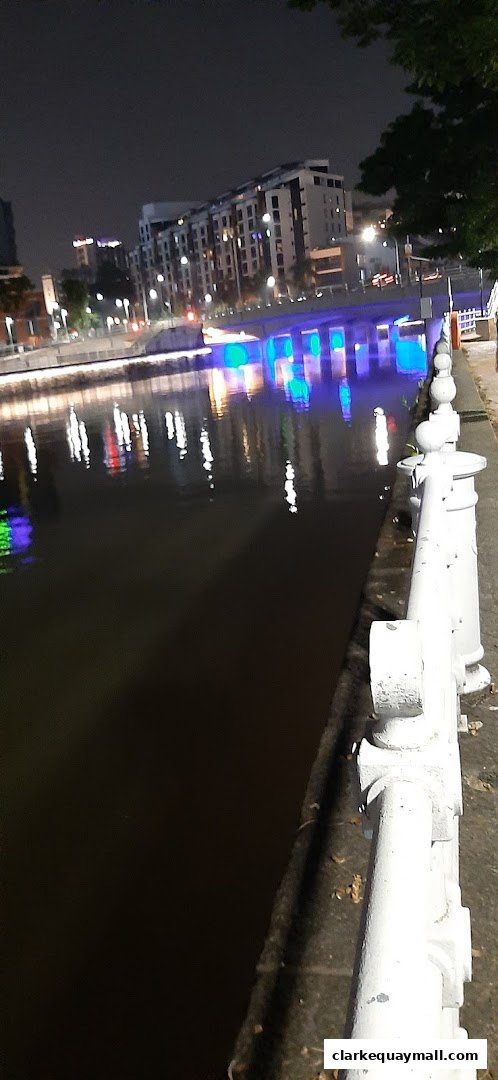 Night view of a river with illuminated buildings and a bridge in the background.