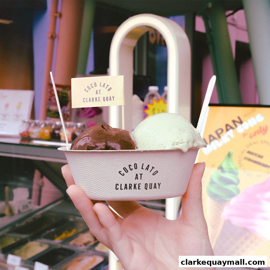 A hand holds a cup of chocolate and mint ice cream from Cocolato.