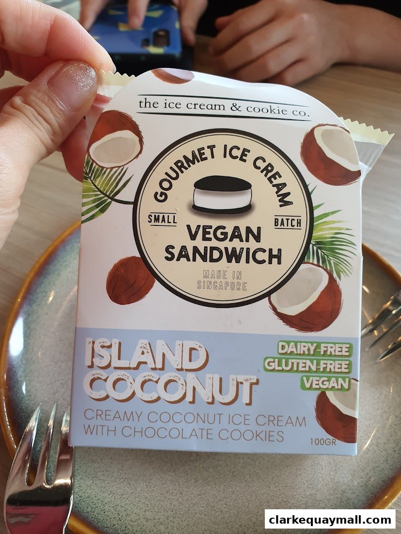 A hand holds a vegan ice cream sandwich with coconut flavor.