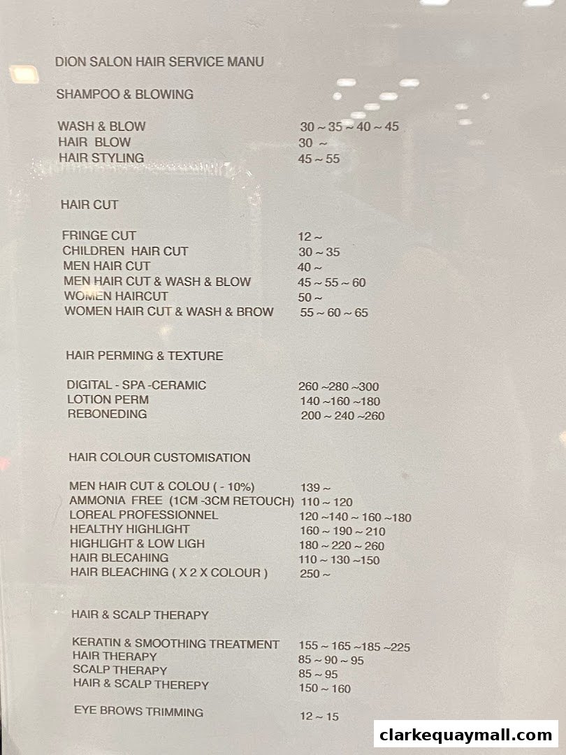 A menu for Dion Salon featuring hair services like washing, cutting, coloring, perming, and scalp treatments.