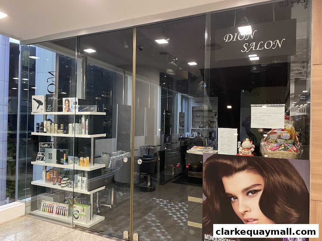 Dion Salon