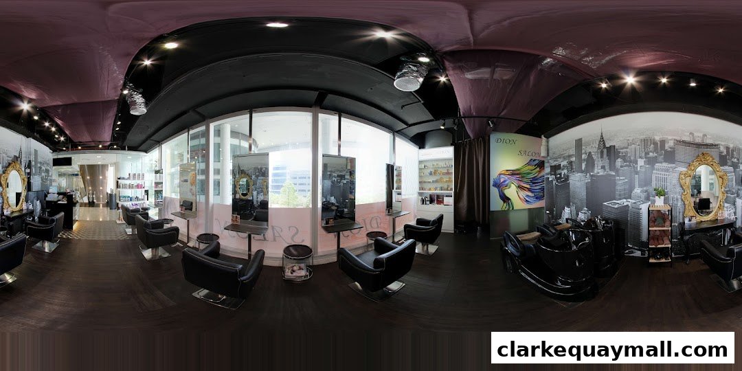 Interior view of Dion Salon, showcasing styling chairs, wash stations, and product displays.