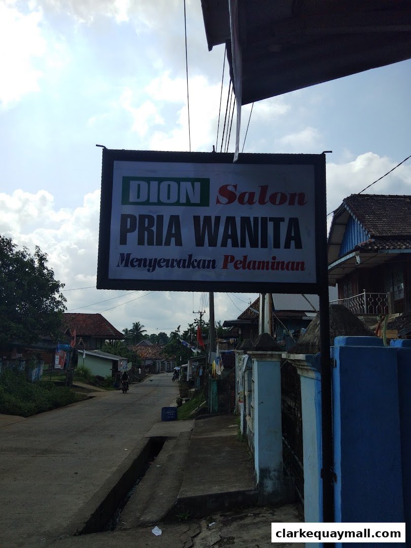 A sign for Dion Salon is displayed on a street with buildings and trees.
