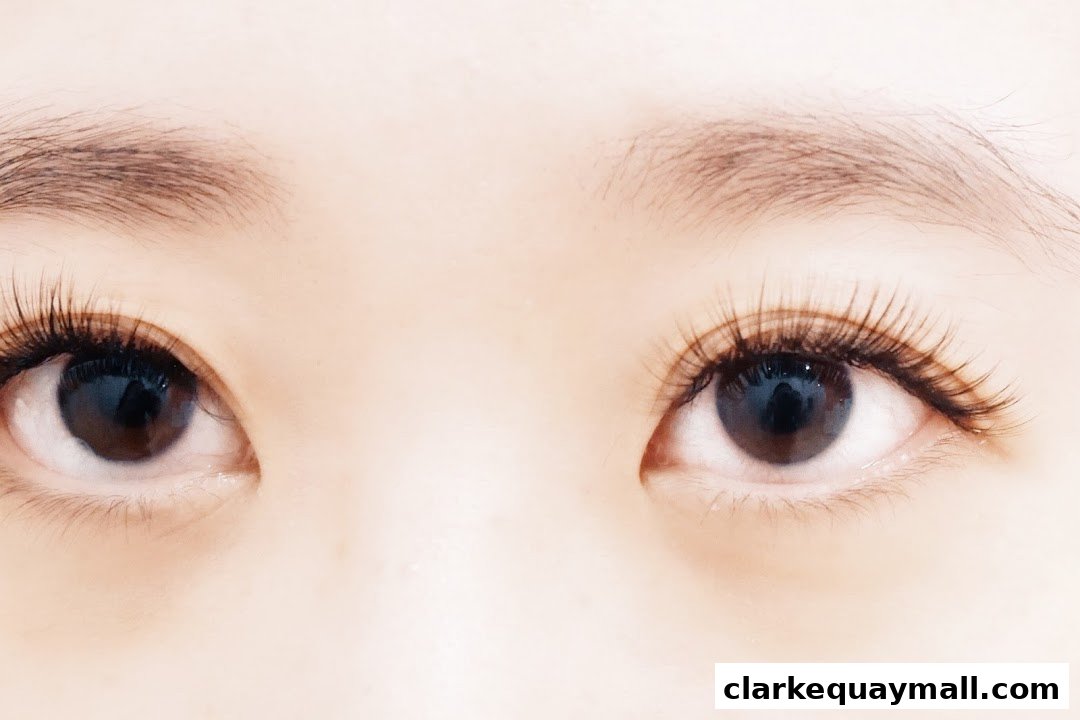 A close-up shot of a person's eyes with beautifully applied eyelash extensions.