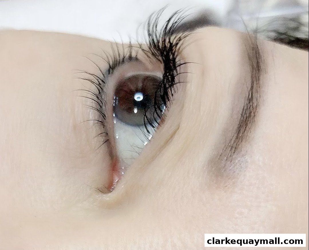 Close-up of a person's eye with long, voluminous eyelashes and subtle makeup.