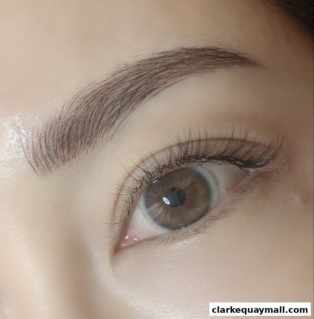 A close-up shot of a person's eye with beautifully applied eyelashes and well-defined eyebrows.