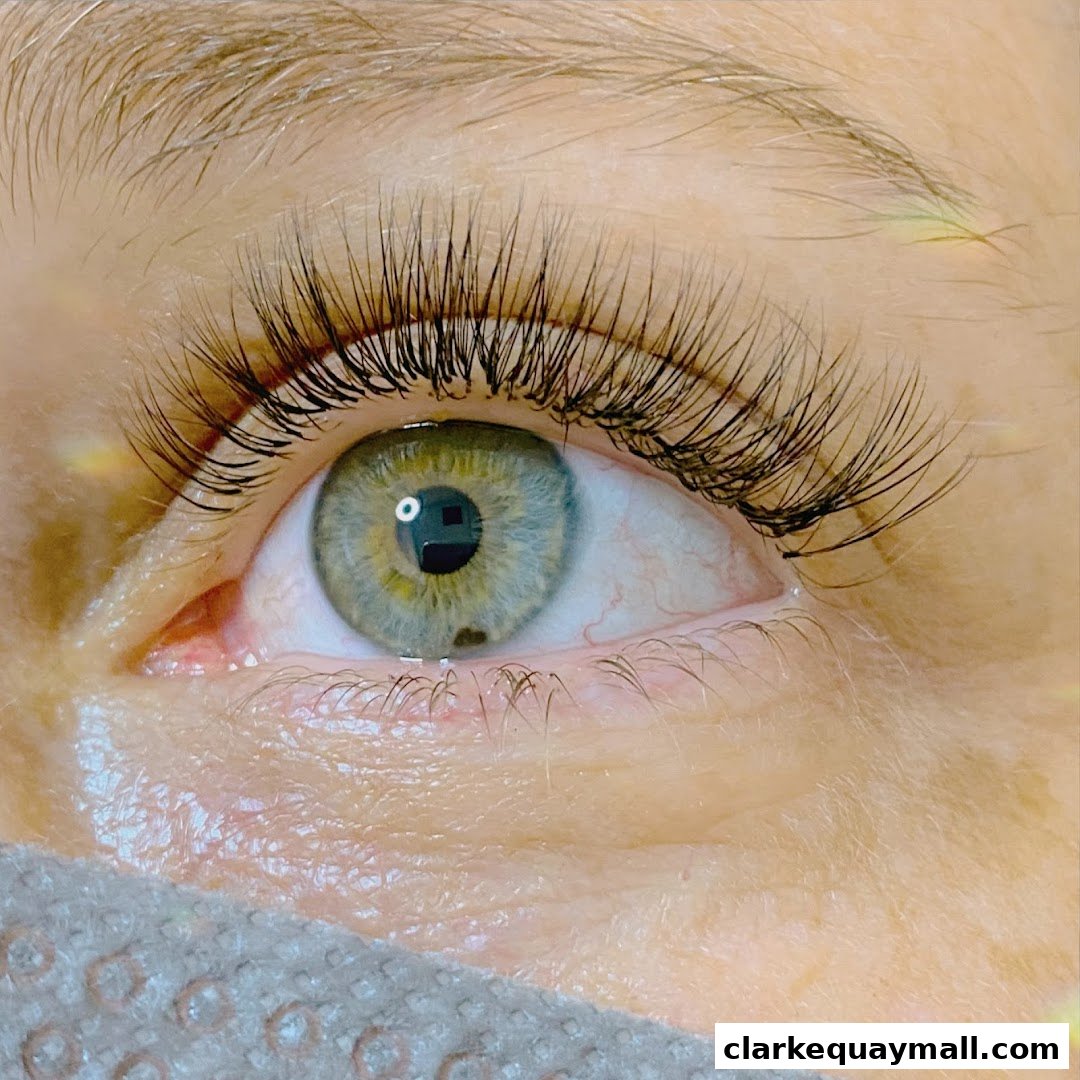 A close-up of a person's eye with beautifully applied eyelash extensions.