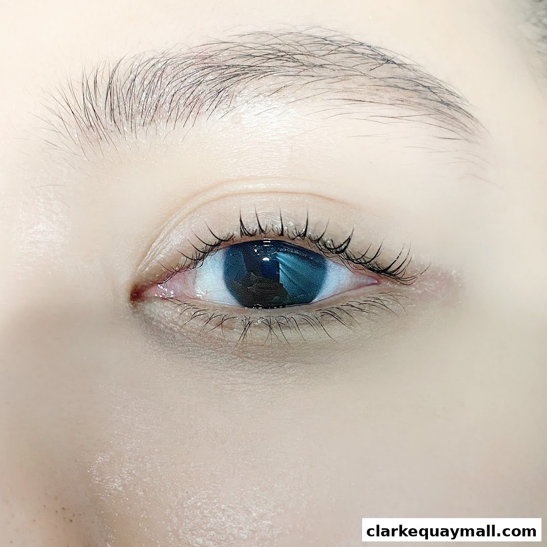 A close-up shot of a person's eye with beautifully applied eyelash extensions.