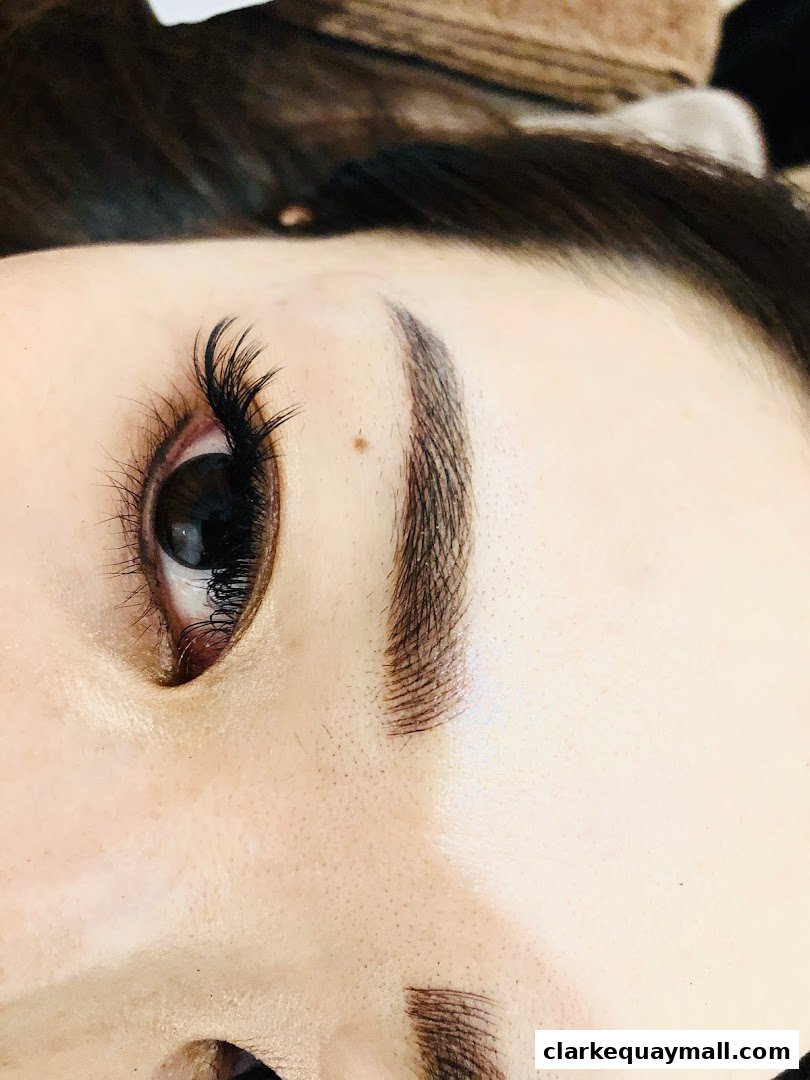 Close-up of a person's eye with dramatic false eyelashes and perfectly shaped eyebrows.