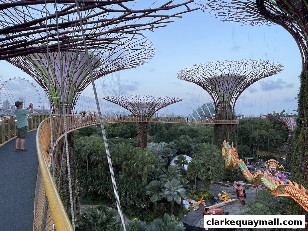 A person photographs the Supertree Grove at Gardens by the Bay, Singapore.