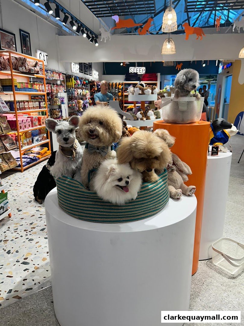 Several adorable dogs are posing in a pet store, surrounded by shelves of pet supplies.