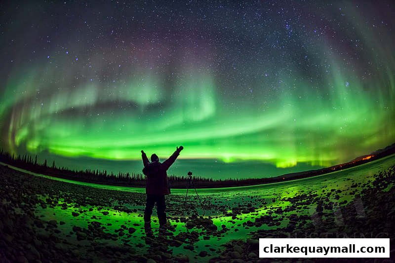 A person with arms raised watches the vibrant green Aurora Borealis under a starry sky.