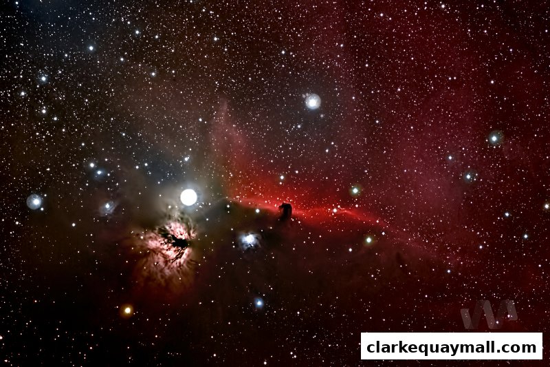 A stunning astrophotograph of the Horsehead Nebula and surrounding stars.