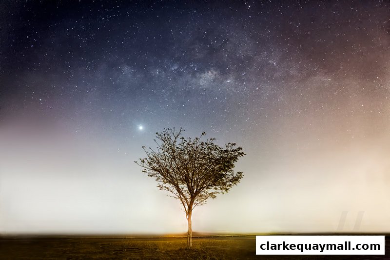 A lone tree stands under a starry night sky with the Milky Way visible.