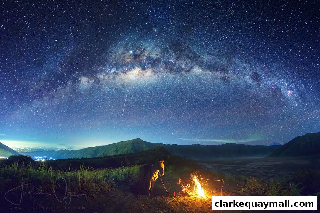 A person and a horse under a vast starry sky with the Milky Way visible.