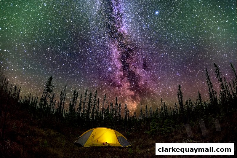 A yellow tent glows under a vibrant Milky Way in a forest at night.