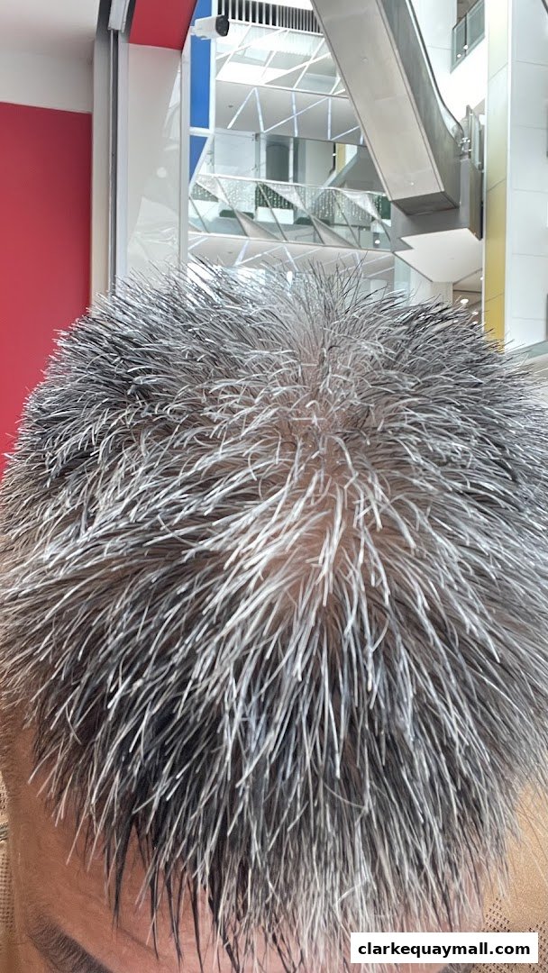 Close-up of a person's spiky, grey and white hair with a blurred shopping mall interior in the background.