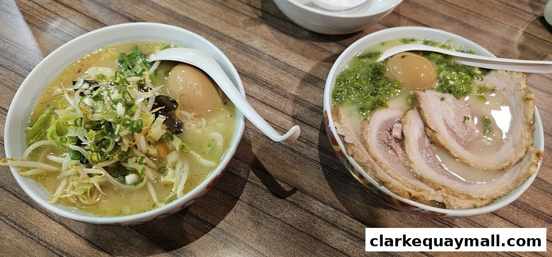 Two bowls of ramen, one with vegetables and egg, the other with chashu pork and green onions.