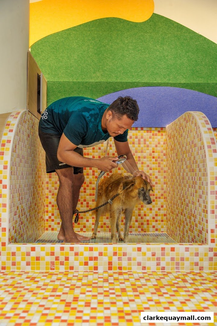 A man is showering a dog in a brightly tiled grooming station.