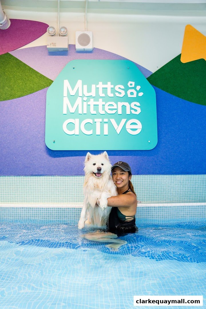 A woman holds a happy Samoyed dog in a swimming pool at Mutts Mittens Active.