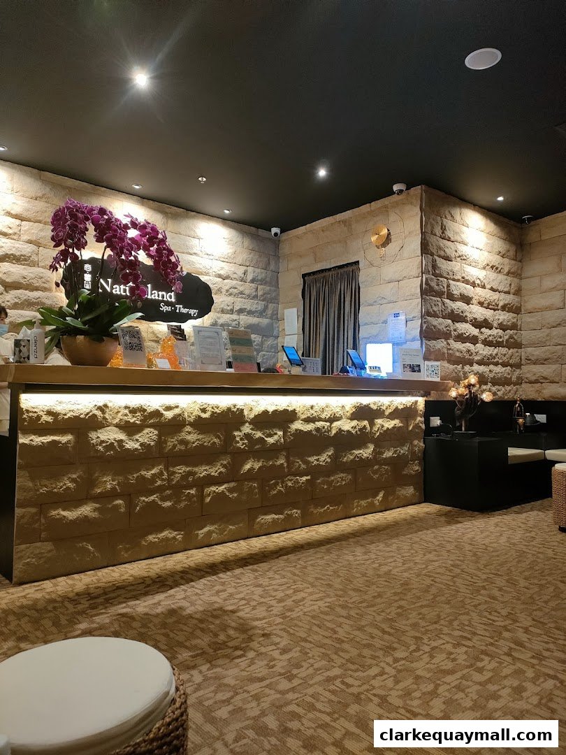 The reception area of Natureland Spa & Therapy with a stone wall, floral arrangement, and reception desk.