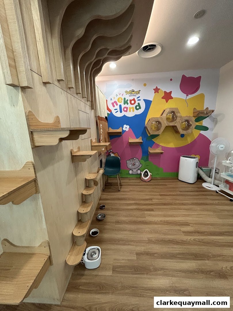 Interior of a cat cafe with wooden climbing structures and colorful wall art.
