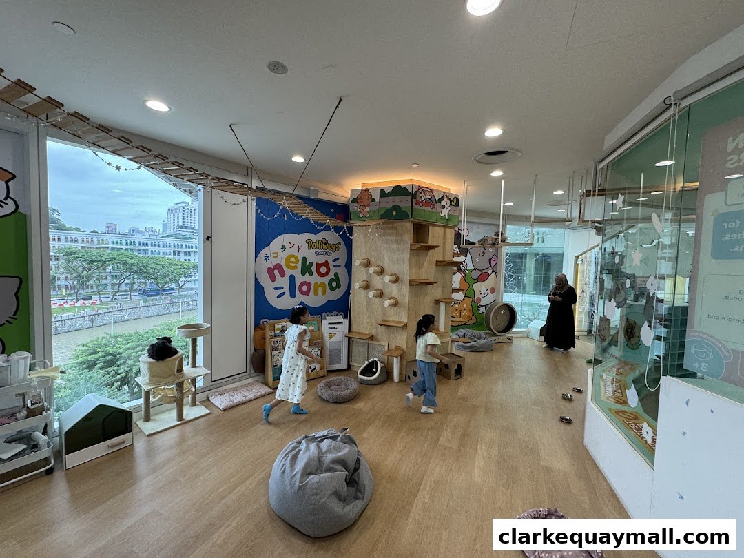 Interior of a cat cafe with climbing structures, cats, and children playing.