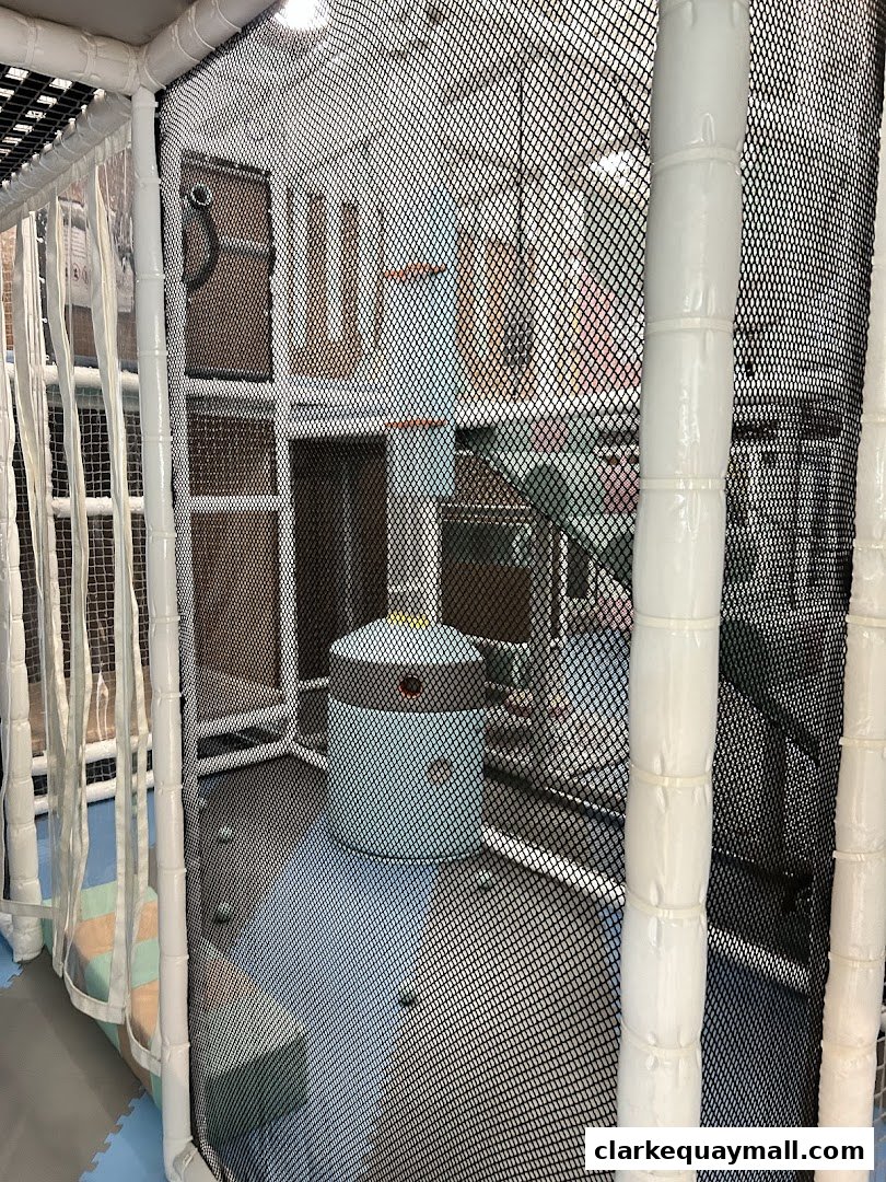 Interior view of a colorful indoor playground with soft play structures and netting.