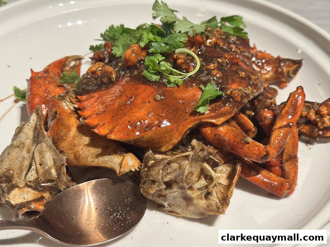 A close-up shot of a delicious crab dish with a rich sauce and fresh cilantro garnish.