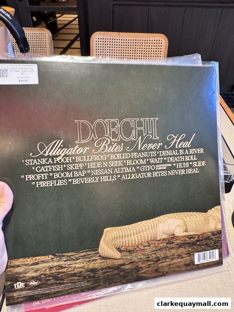 A person holds a vinyl record album titled 'Alligator Bites Never Heal' by Doechi.