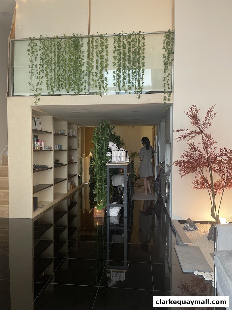 Interior of a modern spa or beauty salon with shelves of products and decorative plants.