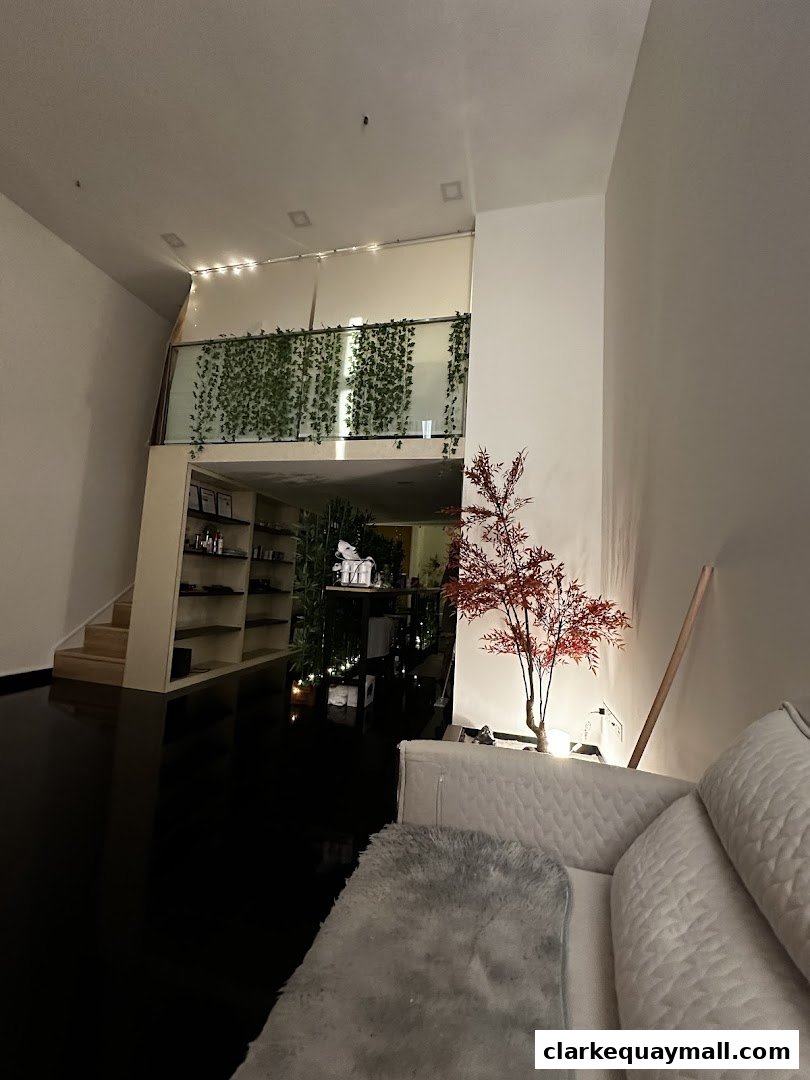 Interior of a modern shop with shelves, plants, and a sofa.