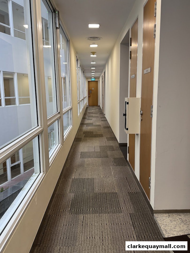 A long, carpeted hallway with doors on the right and windows on the left.
