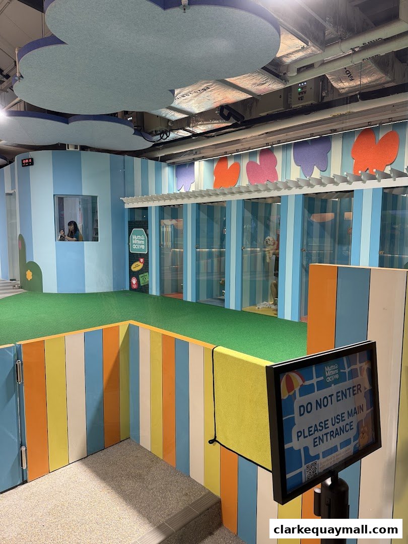 A colorful indoor play area for pets with cubicles and a sign indicating the main entrance.