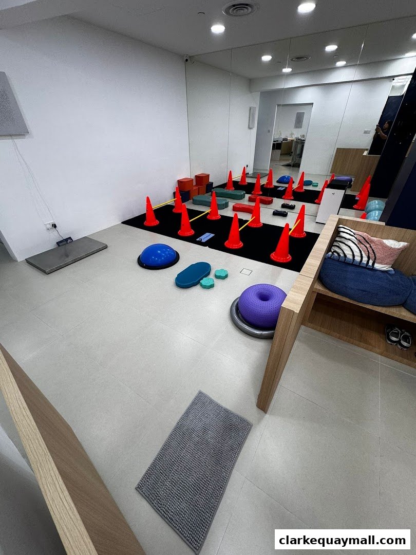 Interior of a pet physiotherapy clinic with exercise equipment like cones and balance balls.
