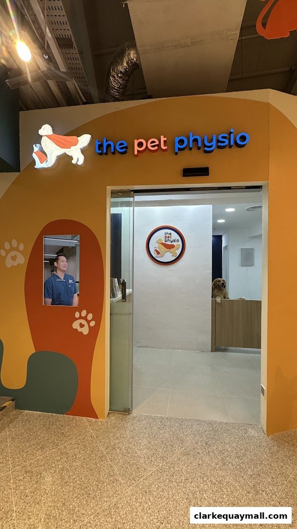 The Pet Physio