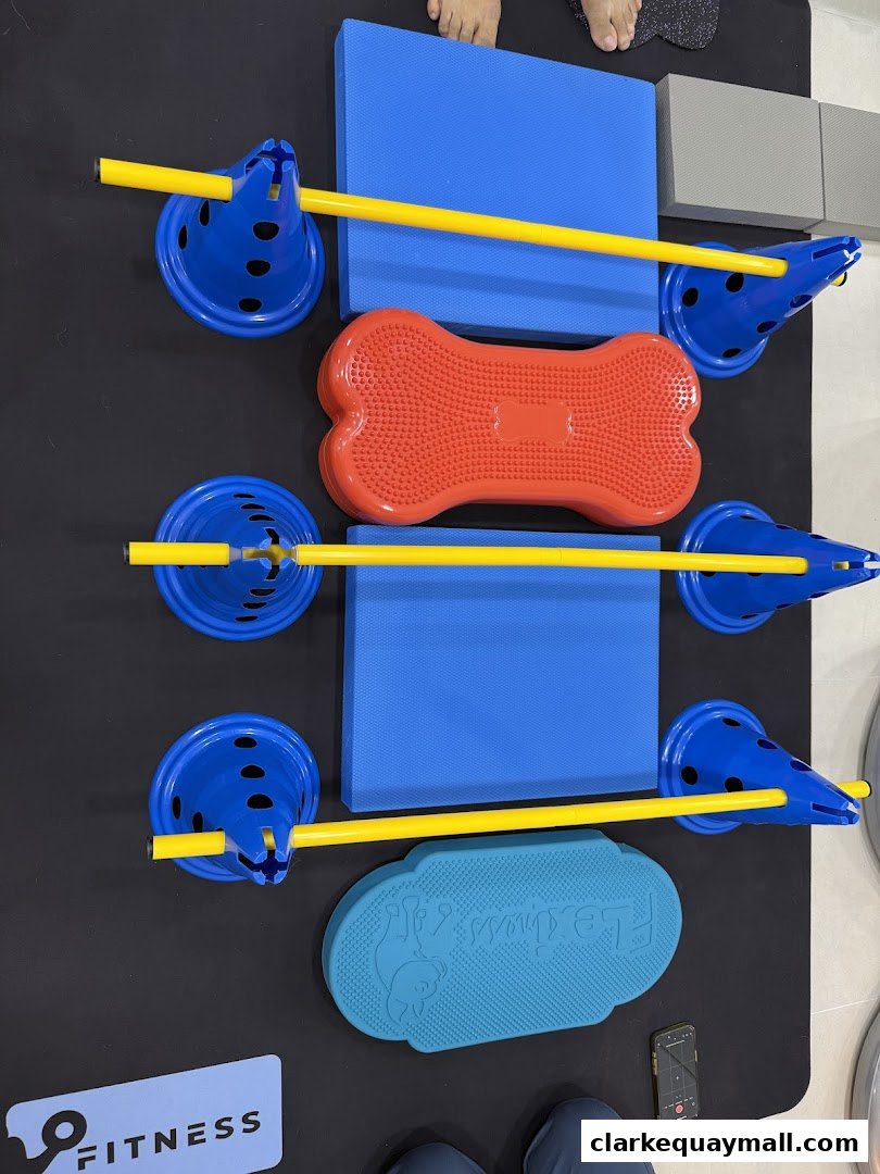 A collection of physiotherapy and fitness equipment, including balance boards and agility cones.